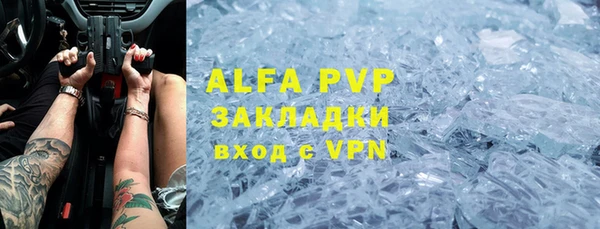 гашик Алексеевка